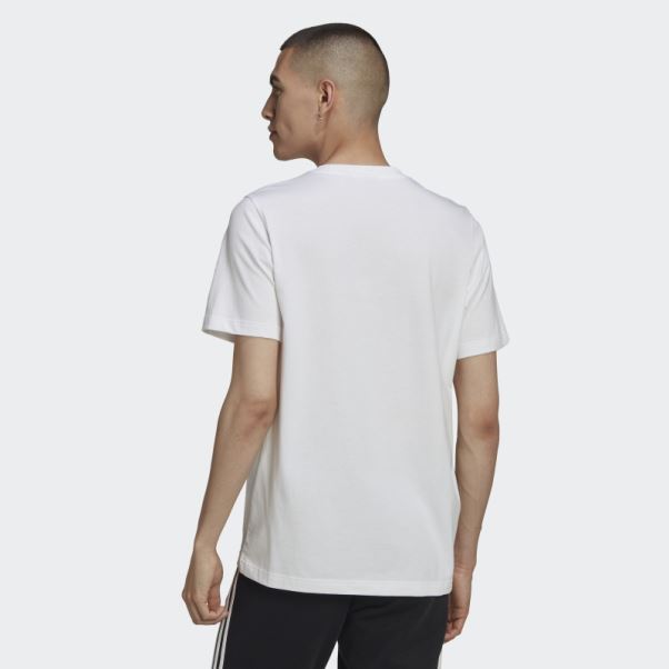 Adidas Adicolor Classics T-shirt Trèfle Vert Minéral