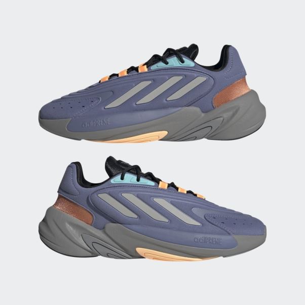 Adidas Orbite Violet Ozelia Chaussures
