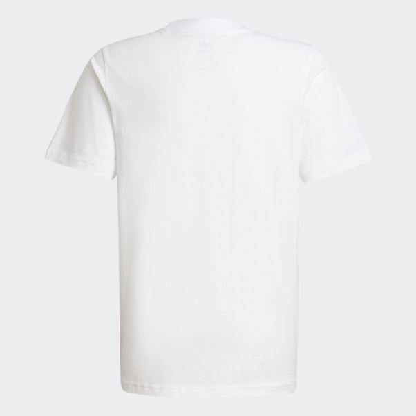 Tee Shirt Adidas Adicolor Blanc