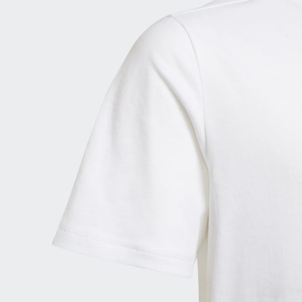 Tee Shirt Adidas Adicolor Blanc