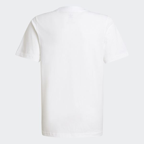 Tee Shirt Adidas Adicolor Blanc