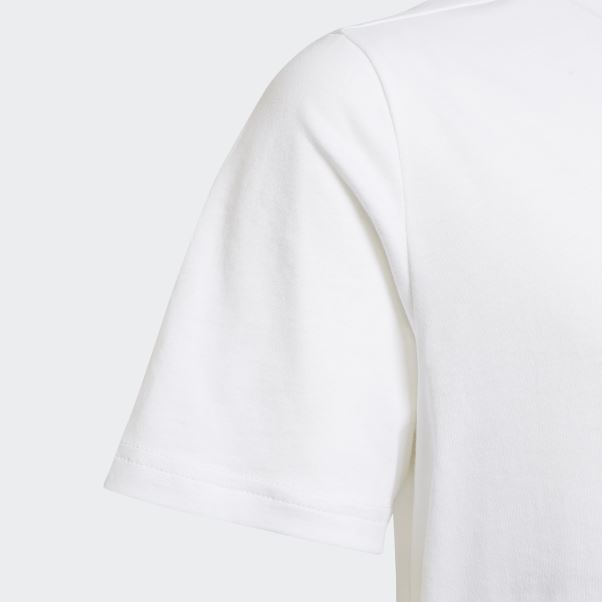 Tee Shirt Adidas Adicolor Blanc