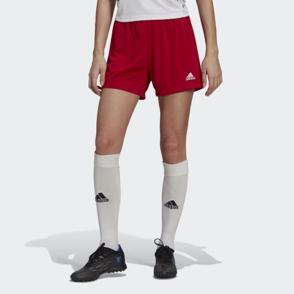 Entrada 22 Short Adidas Rouge