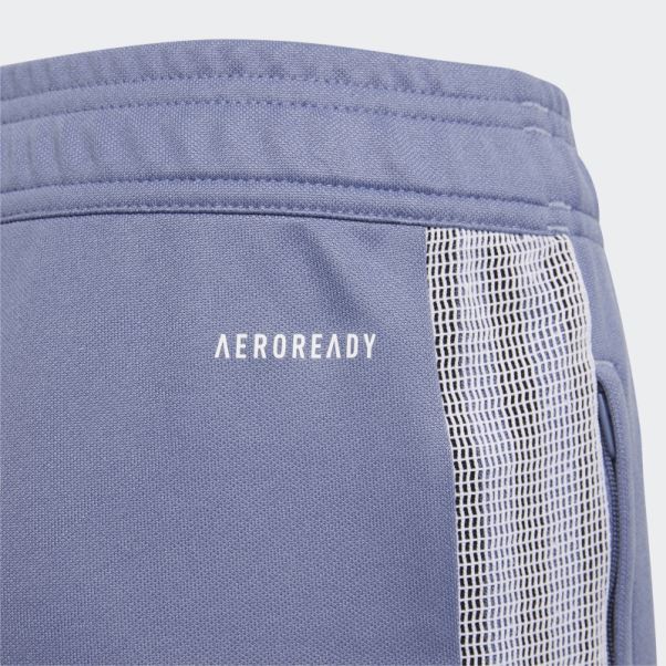 Orbit Violet Pantalon De Survêtement Tiro Adidas