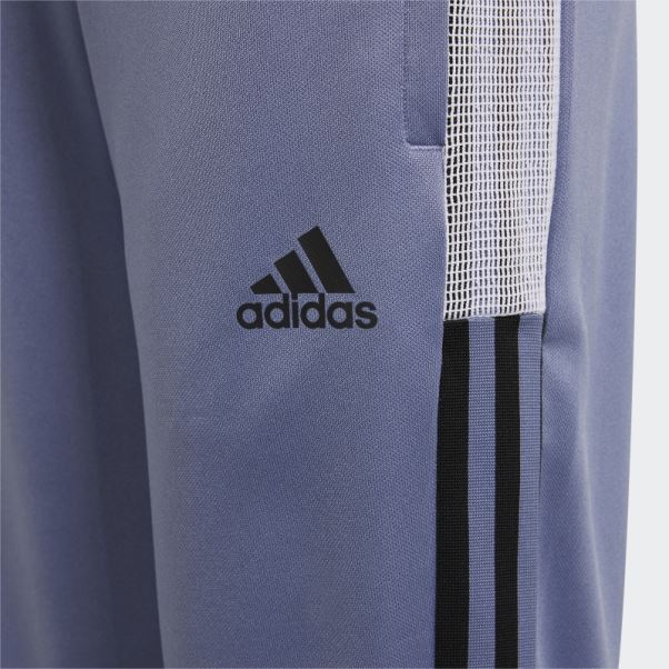 Orbit Violet Pantalon De Survêtement Tiro Adidas
