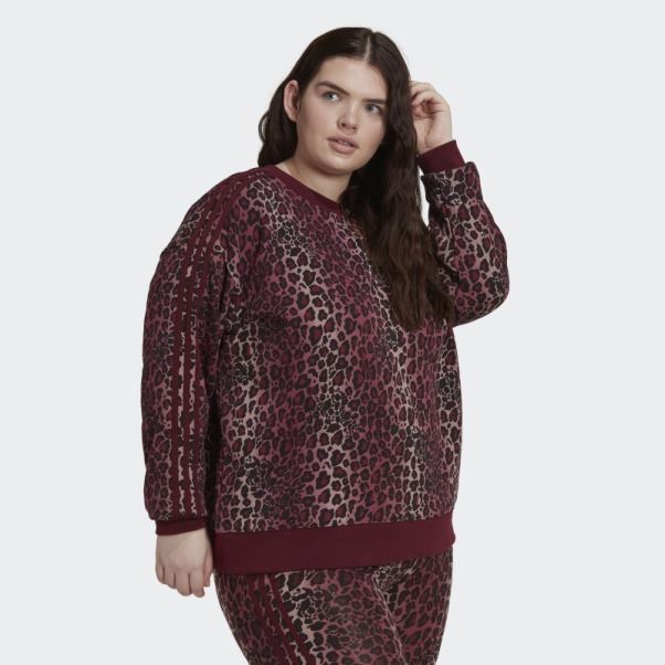 Sweat Adidas Bordeaux (grande Taille)
