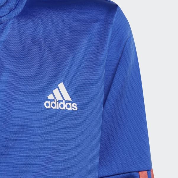 Survêtement Adidas Bleu Haute Résolution à 3 Bandes