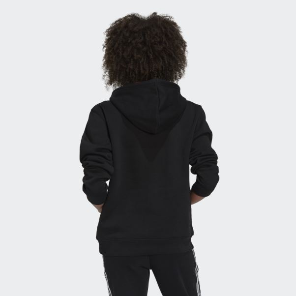 Sweat à Capuche Polaire Adicolor Essentials Noir Adidas