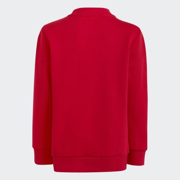 Ensemble Adidas Scarlet Adicolor Crew