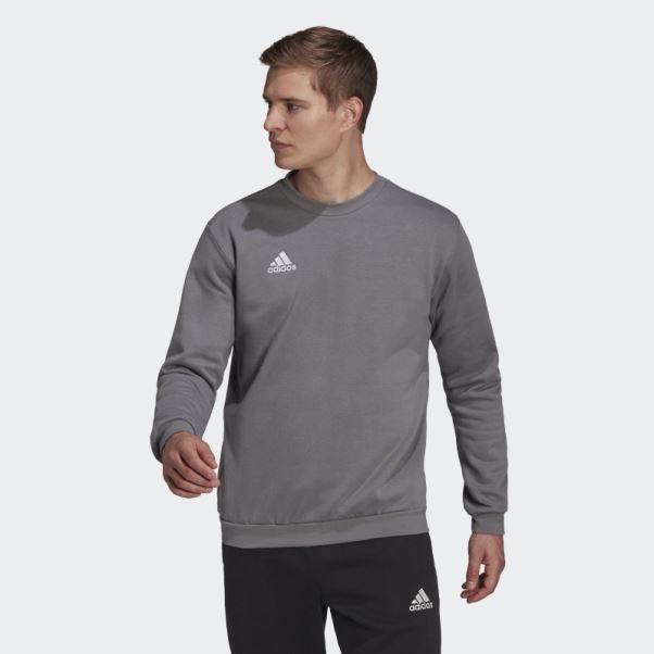 Entrada 22 Sweat Gris Adidas