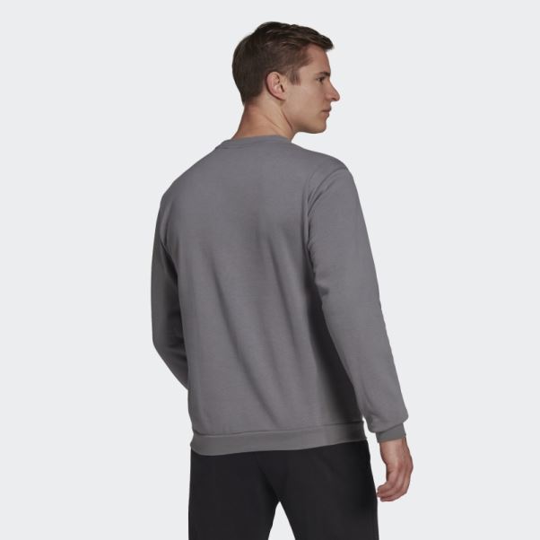 Entrada 22 Sweat Gris Adidas