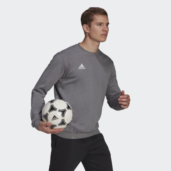 Entrada 22 Sweat Gris Adidas