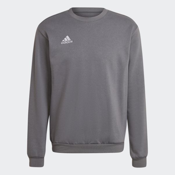 Entrada 22 Sweat Gris Adidas