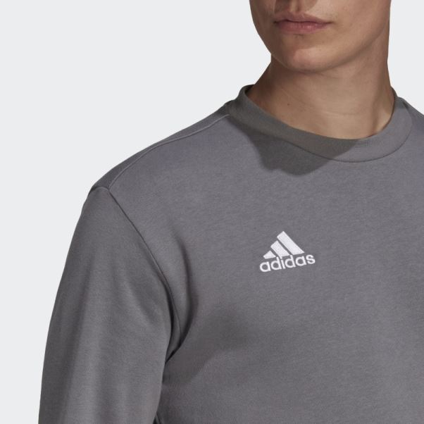 Entrada 22 Sweat Gris Adidas