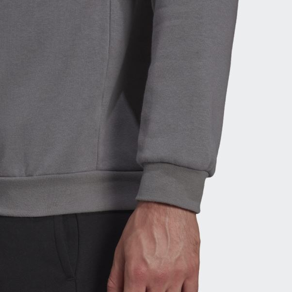Entrada 22 Sweat Gris Adidas