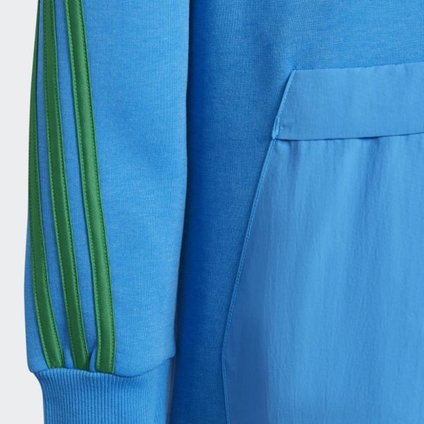 Sweat à Capuche Adidas X Classic Lego Vert
