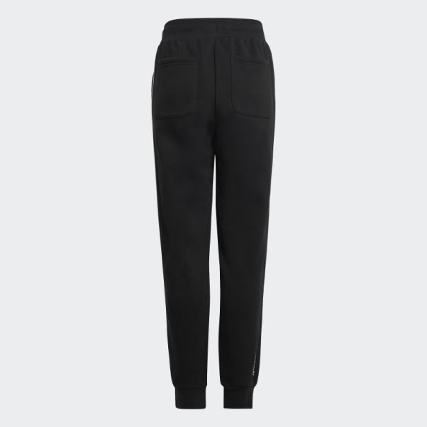 Pantalon De Jogging Adicolor Noir Adidas