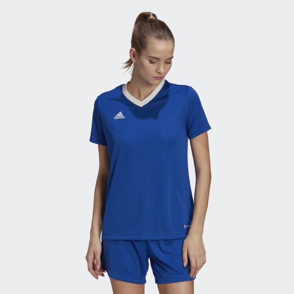Maillot Adidas Entrada 22 Bleu Royal
