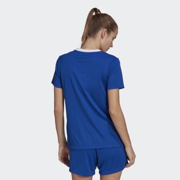 Maillot Adidas Entrada 22 Bleu Royal