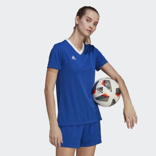 Maillot Adidas Entrada 22 Bleu Royal