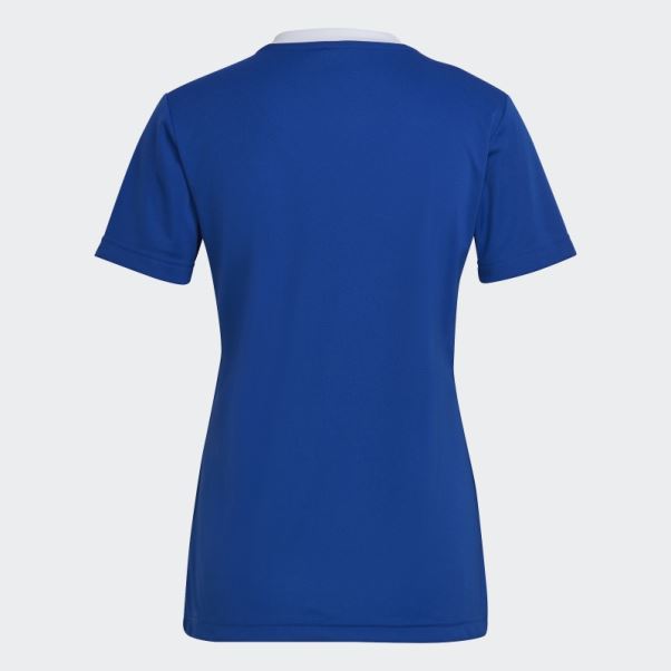 Maillot Adidas Entrada 22 Bleu Royal