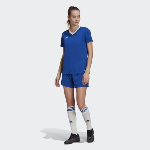 Maillot Adidas Entrada 22 Bleu Royal