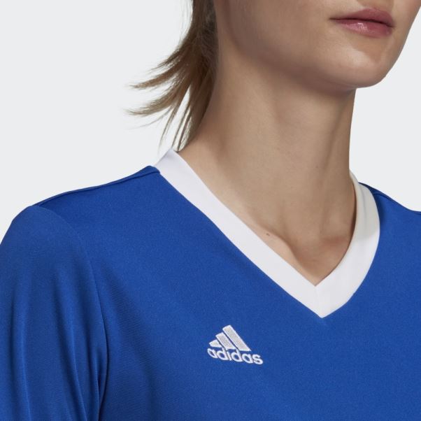 Maillot Adidas Entrada 22 Bleu Royal
