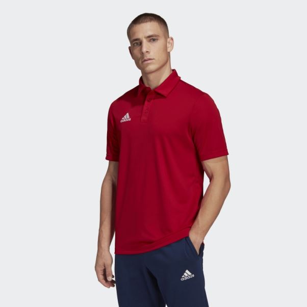 Polo Entrada 22 Adidas Rouge