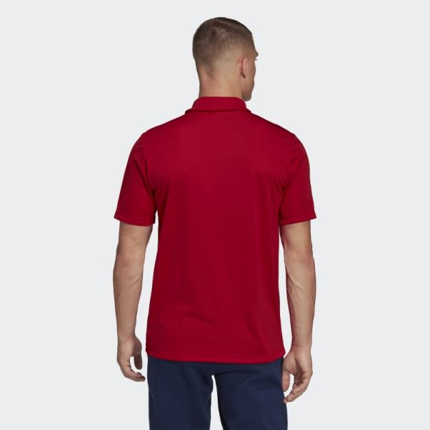 Polo Entrada 22 Adidas Rouge