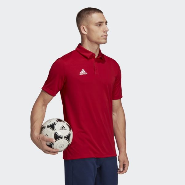 Polo Entrada 22 Adidas Rouge