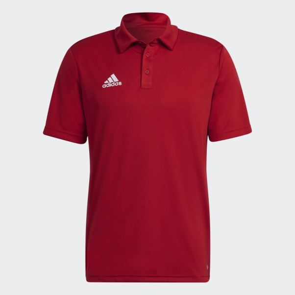 Polo Entrada 22 Adidas Rouge