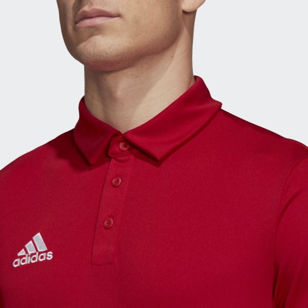 Polo Entrada 22 Adidas Rouge