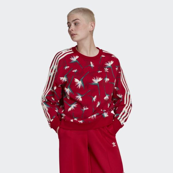 Pull Thebe Magugu Crew Adidas Rouge