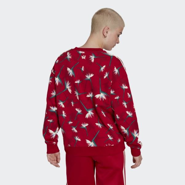 Pull Thebe Magugu Crew Adidas Rouge