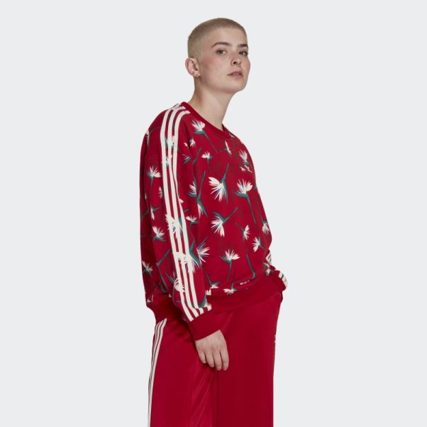 Pull Thebe Magugu Crew Adidas Rouge