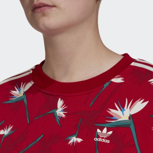 Pull Thebe Magugu Crew Adidas Rouge