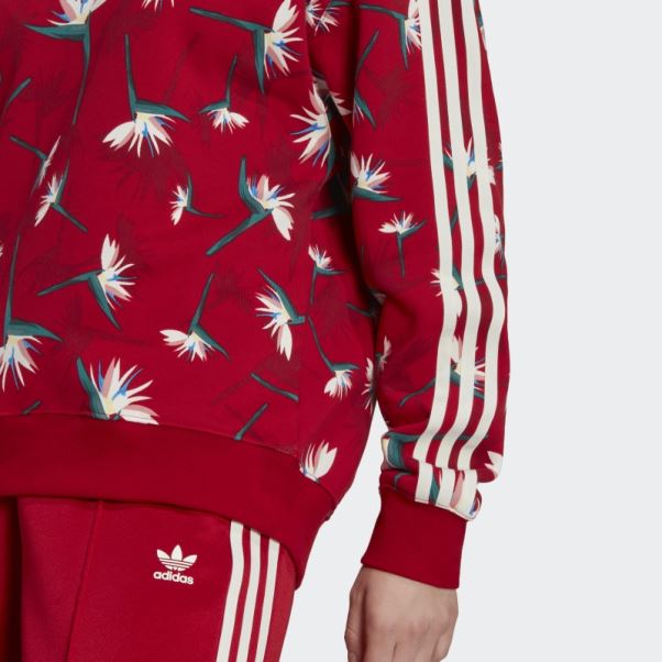 Pull Thebe Magugu Crew Adidas Rouge