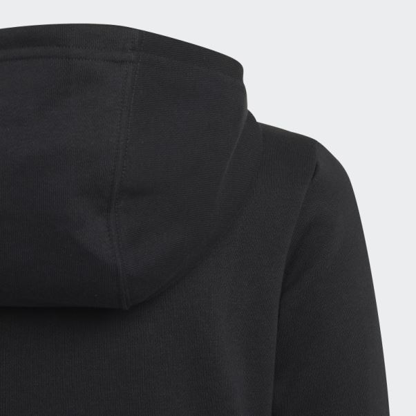 Adidas Adicolor Sweat à Capuche Blanc