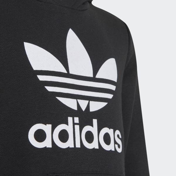 Adidas Adicolor Sweat à Capuche Blanc