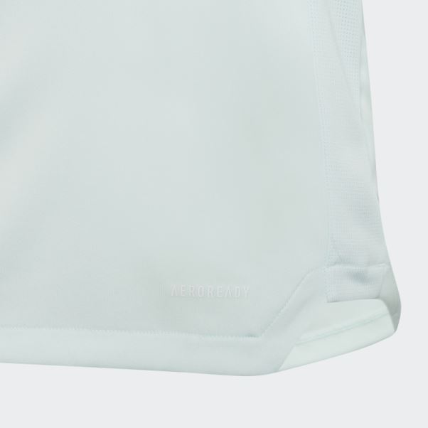 Maillot D'entrainement Adidas Ice Mint Tiro 21