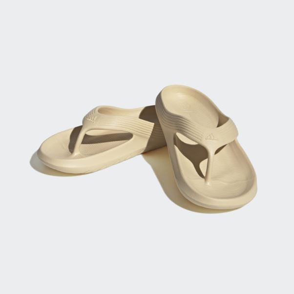 Tongs Adidas Sand Adicane