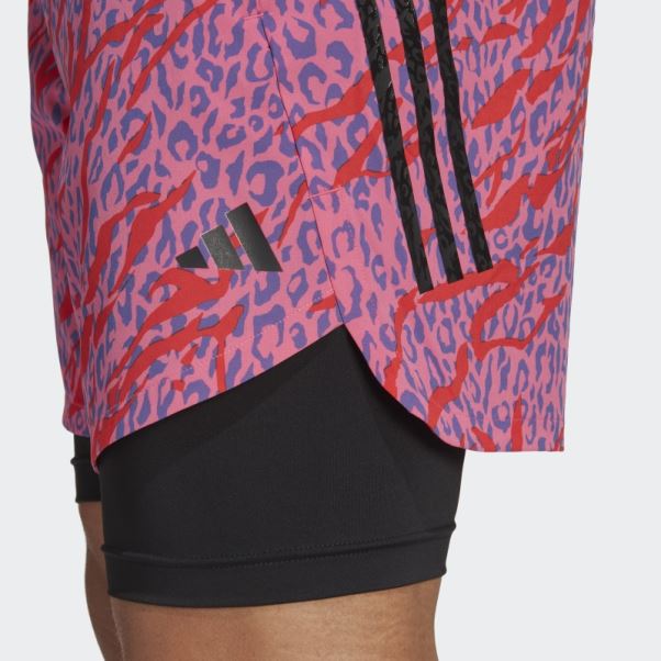 Conçu Pour L'entraînement Pro Series Short Hiit à Imprimé Animal Organisé Par Cody Rigsby Adidas Multicolore