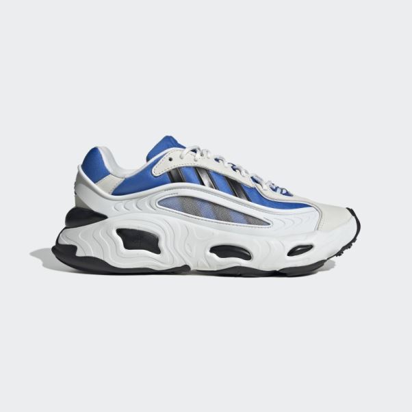 Chaussure Adidas Royal Oznova