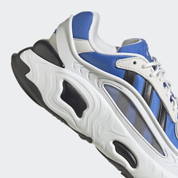 Chaussure Adidas Royal Oznova