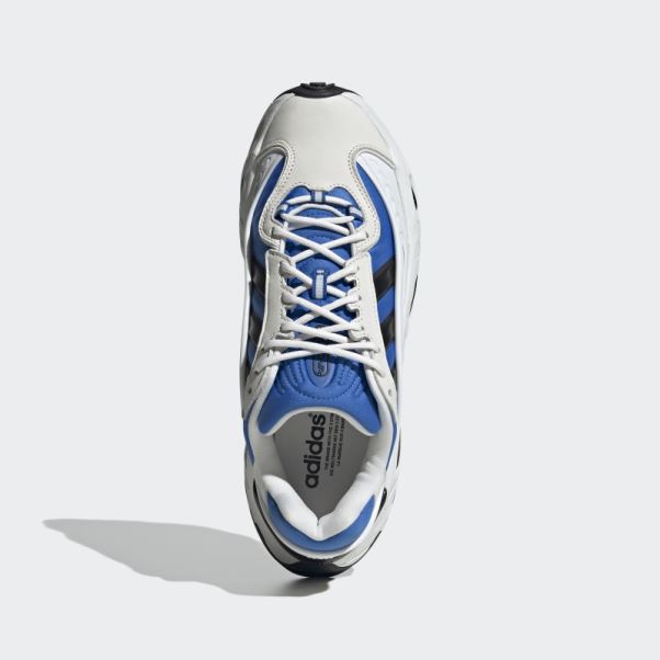 Chaussure Adidas Royal Oznova