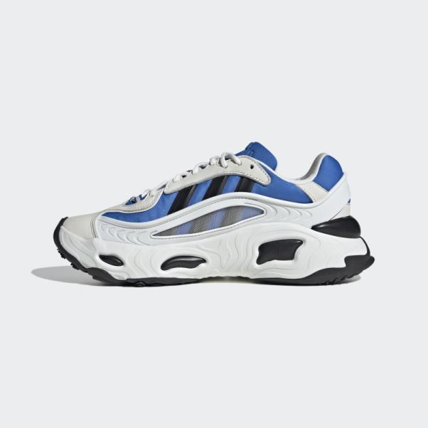 Chaussure Adidas Royal Oznova