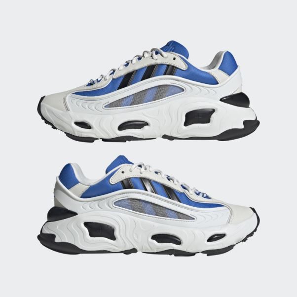 Chaussure Adidas Royal Oznova