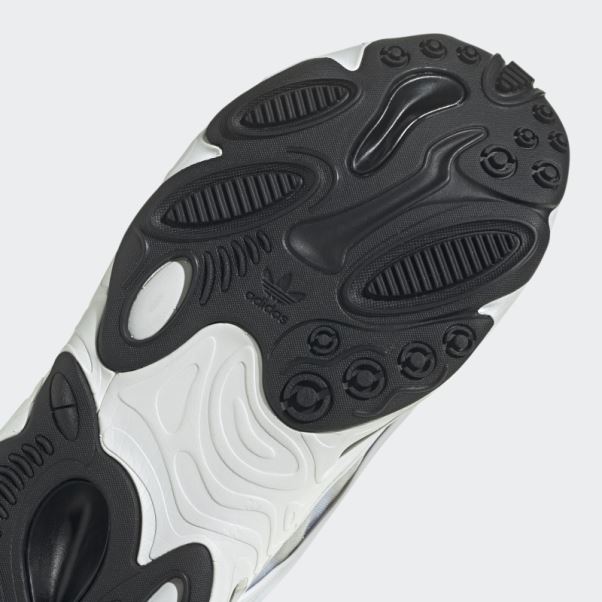 Chaussure Adidas Royal Oznova