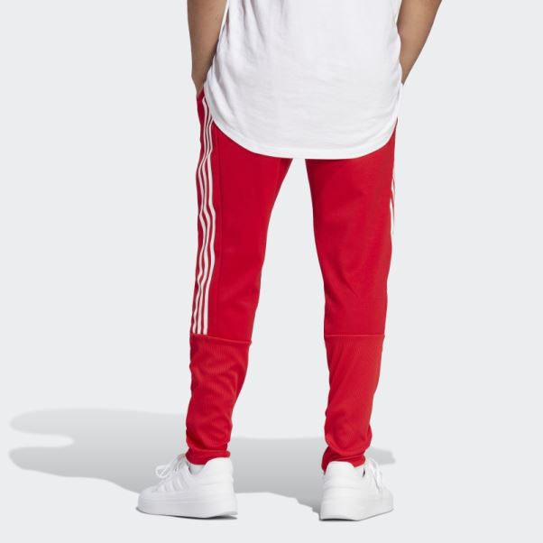 Tiro Suit-up Lifestyle Jogging Adidas écarlate