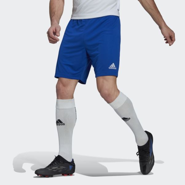 Entrada 22 Short Adidas Bleu Royal